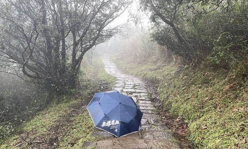 　剛過擎天崗，風雨明顯小了，傘也可以收了。在此對下山方向摸索了約二十分鐘，有條下山路地圖有但現場無。
