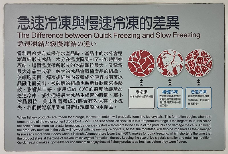 　在港澳都有機會吃到比較新鮮感的魚生，看來是急速冷凍的技術。