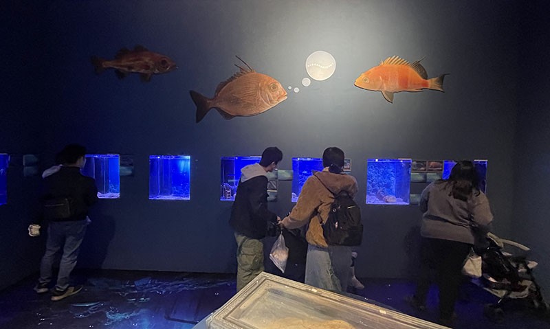 　適合親子的地方。