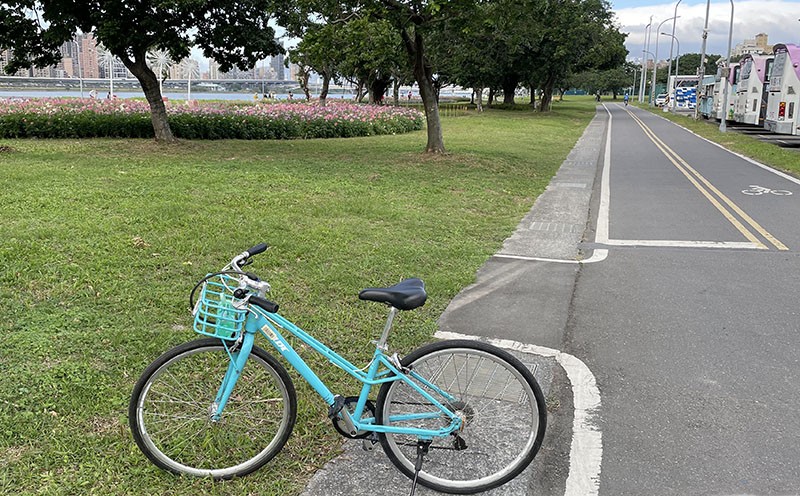 　過了大稻埕站後開始有很多河濱公園，綠化佷好。
