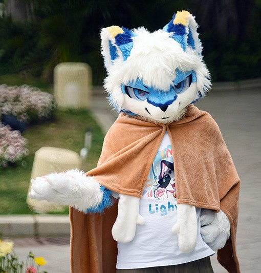 D75_4156a.jpg