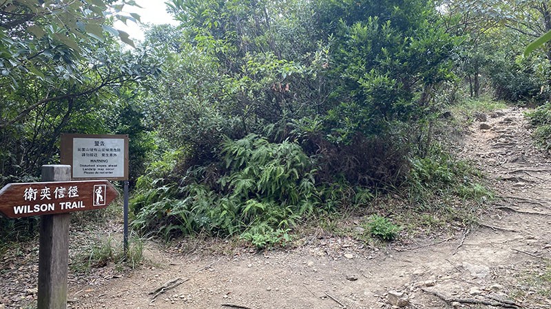 　左邊因有潛在山泥傾瀉風險，衛奕信徑自2020年起改道直登山頂。原路仍可走，但上山只爬多高五十米左右，那就上山走走。