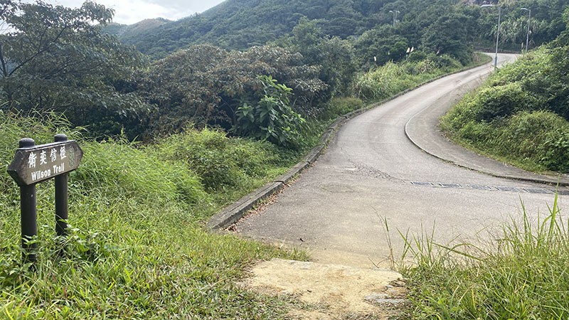 　東洋山下來兩三百米就進入飛鵝山道。