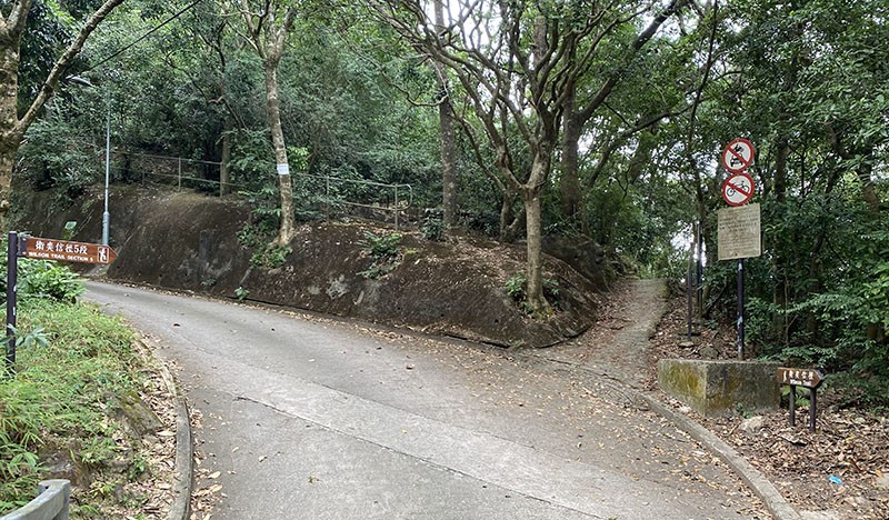 　走一兩百水泥路重新進入小路。