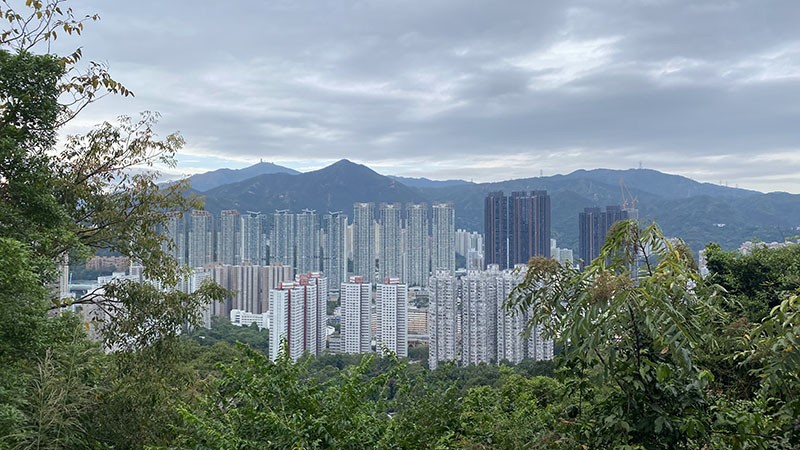 　沙田市區近在咫尺了。