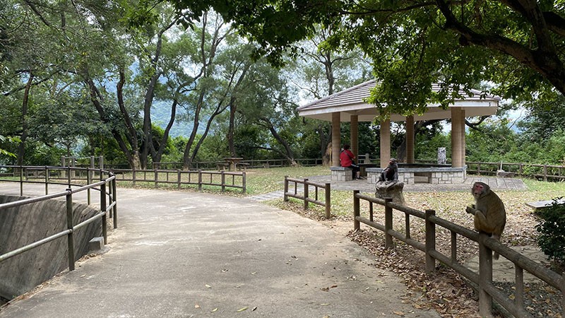 　這段路平平無奇，但沿途可能有約十個風雨亭，可能是比較近沙田市區吧。