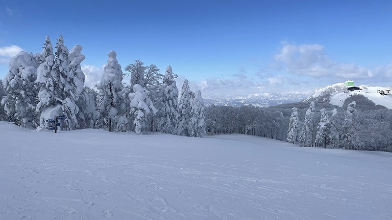 　但陡坡旁邊基本上都有比較平緩的雪道。