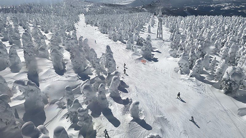 　纜車就在樹冰最壯觀的區域上空經過，加上在樹冰中滑雪，那就360度沒死角。