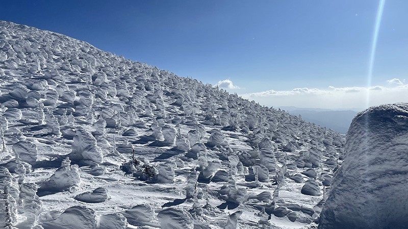 　接近山頂的樹冰還沒有山坡上的樹冰大，估計該也是給大雪快淹沒了。