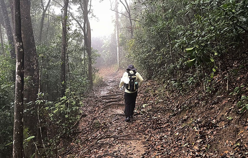 　上了約一百米後便是山間小平路。微雨一頂帽、小雨用雨傘可能比穿雨衣更好。
