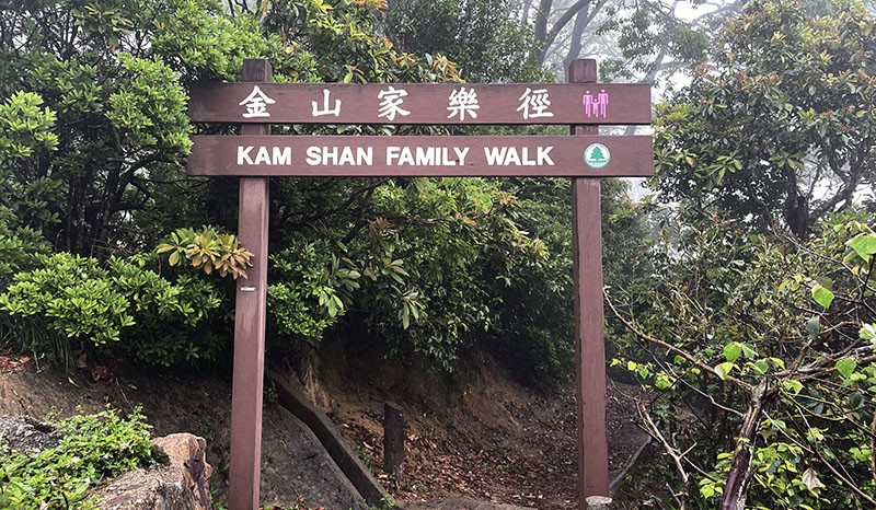 　第六段部份與金山家樂徑重疊的路段，這裡果如前人所講有不少馬騮，在途中停下來想吃點東西時，不知不覺有好幾隻馬騮靜靜地圍上來，嚇得我們馬上撤走。