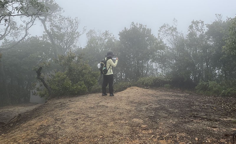 　又小上海拔約100米來到金山山頂，金山除了沒金外，連標高柱都沒有，看來是不夠高沒資格。