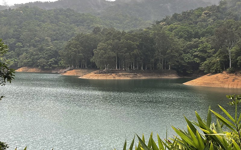 　城門水塘的白千層倒影早有所聞，今天終見盧山真面目。但這時水位比較低，並非是美景的最佳時機。