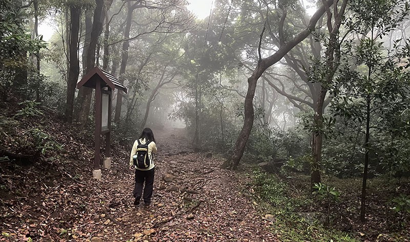 　休息完就是三百米的山路回落。