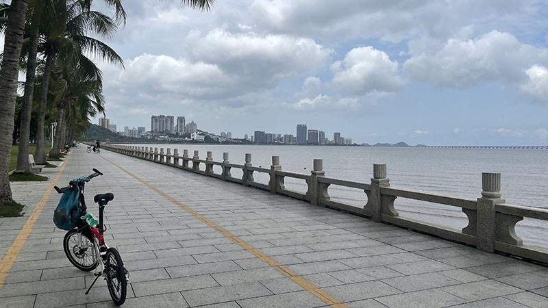 　早幾日行山行到出水泡，為練腳力，今日改踩單車。