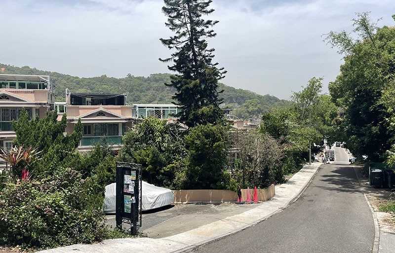 　九日後又在新屋家村起步。附近一帶離市區很近，靜中帶旺，有村屋在此不用受高房價之苦，該是香港比較幸福的一群。