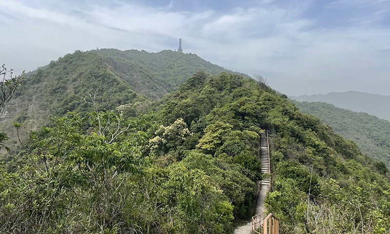 　遠方的發射塔就是今日的最高點九龍坑山。