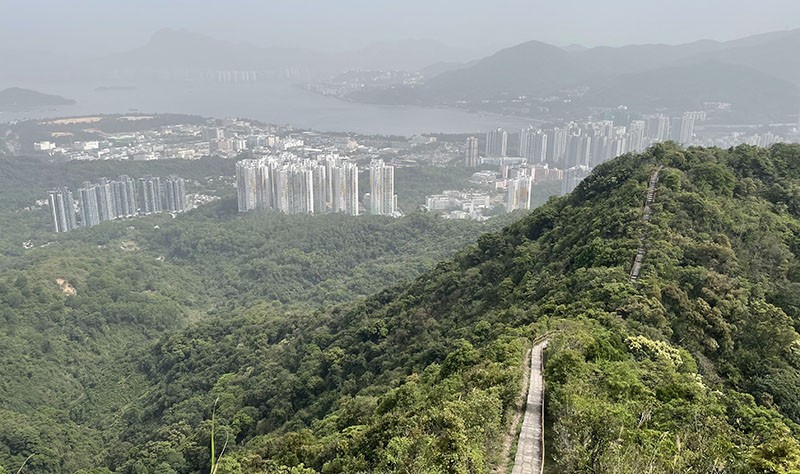 　回望走過的梯級，吐露港及大埔市區。