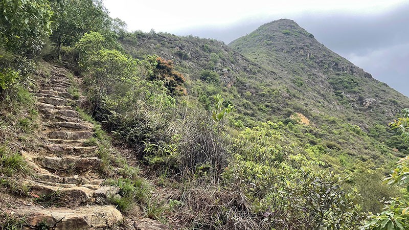 　經過不斷的梯級，看到屏風山山頭了。