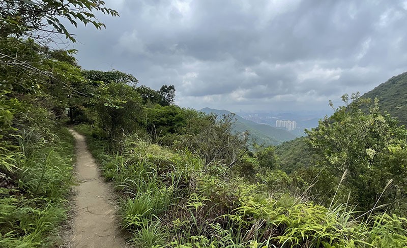 　到了屏風山後，舒服曬。