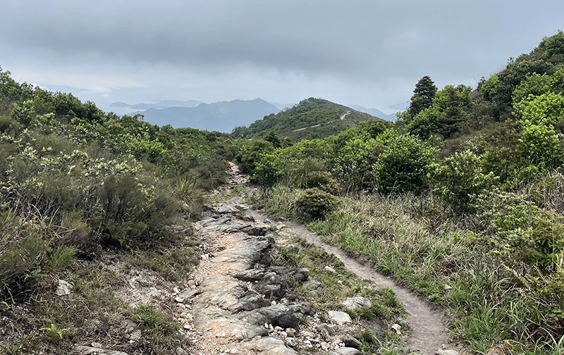 　四月中下旬天氣開始熱了，幸好今天陰陰天，在沒什麼樹木的山上行走好舒服。