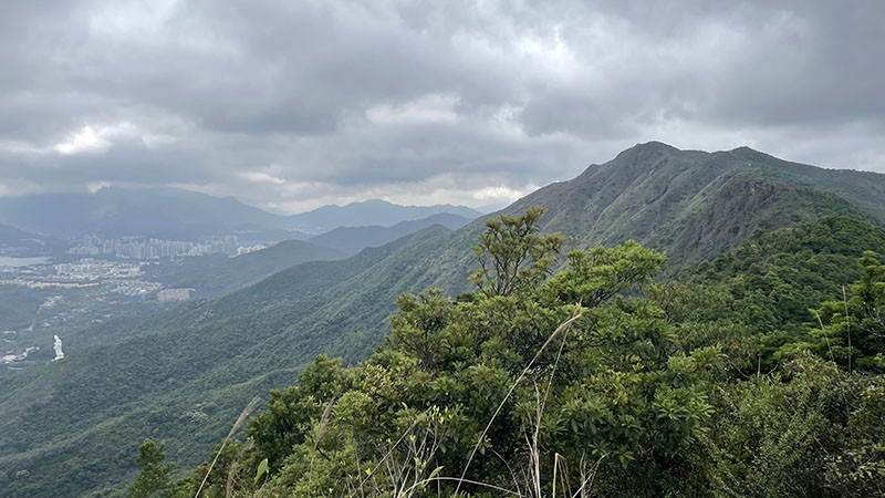 　回望黃嶺。