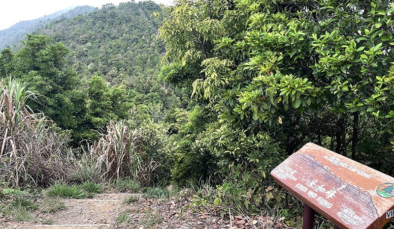 　第六峰采和峰。