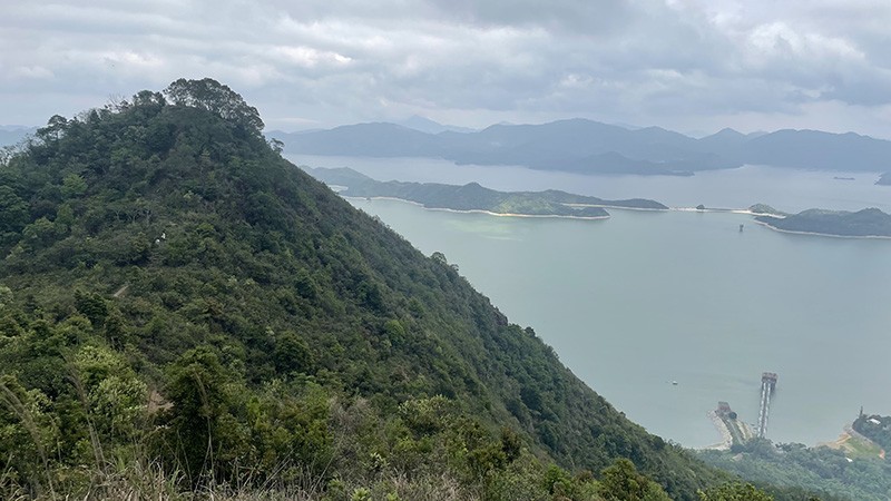 　仙姑峰在望了。