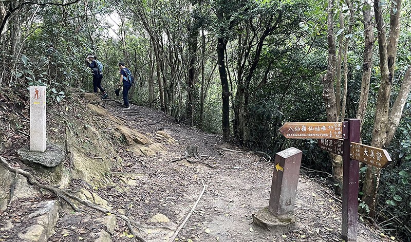 　連降百多米後來到一分岔口，南走大尾督，北走南涌。