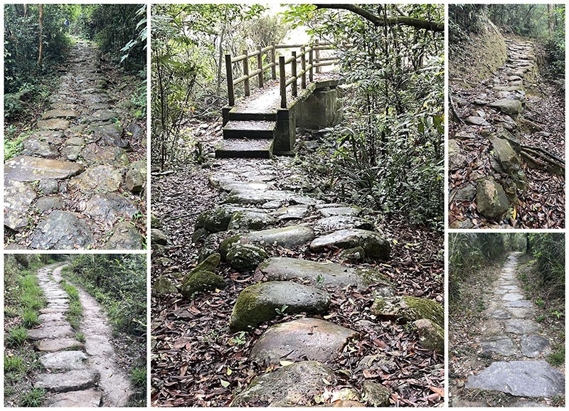 　橫七古道主要也是在林中穿行，沒什麼風景，最大的特色可能是石道，據說是當年的開村先賢以沙泥石塊堆砌成山間石道，成為來往沙頭角到大埔售賣農作物的要道，有些石道日子有功，有些已很光滑。