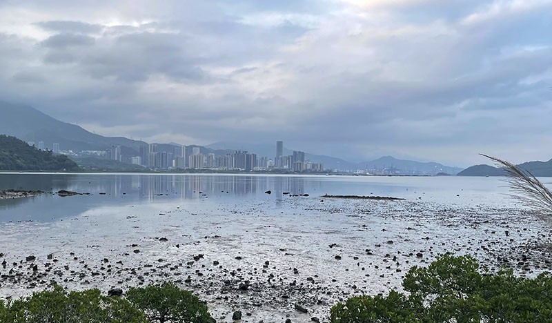 　村對面的深圳鹽田更近更清晰了，兩岸對比強烈。