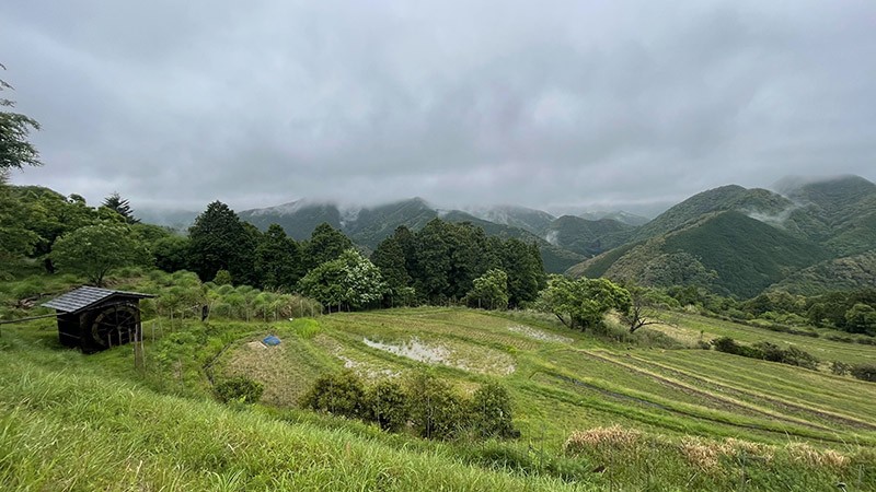 　今天沿途基本上在林中穿梭，這裡也是今天途中唯一能望遠處的地方。