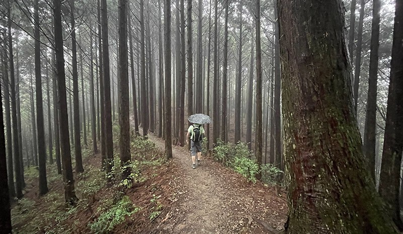 　今日五六小時的行程，約1/3時間有雨，多數是小雨。