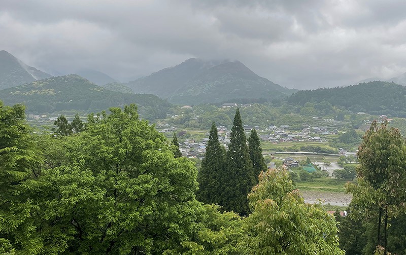 　近露村比想像中還要大一些。