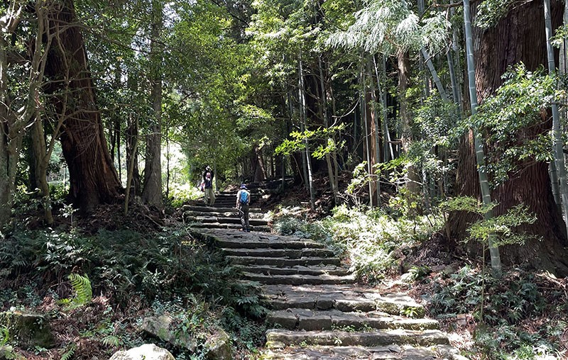 　之後是四周圍繞著樹齡超過800年的杉木林，可以感受到聖地的清幽氛圍。