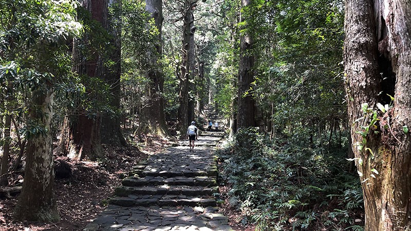 　在這高聳杉林間邁向熊野大智大社頗有朝聖之感，別具肅穆、靜謐的氣氛。