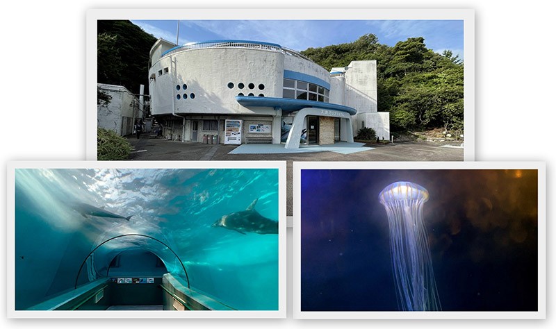 　小型海洋水族館。<br /><br />　隧道式入口水槽有如置身海底漫步，大水槽展示珍貴的海豚，如斑點海豚、條紋海豚和白化瓶鼻海豚等。裡面還有熊野灘的魚類。