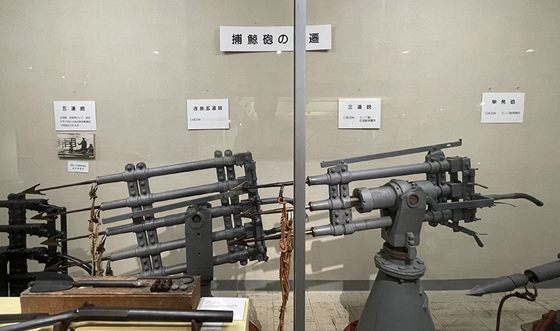 　如不是說來鯨魚博物館，還以為這裡是武器展覽館。