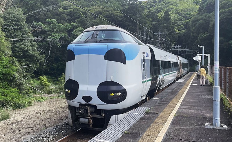 　今天回大阪，由太地到大阪的路程只有230公里，但JR特急快車也要3小時50分，時間不短，不如就中途到和歌山市遊覽一下。<br /><br />　太地到和歌山市路程160公里，JR特急快車也要3小時9分，車費¥6,140；站站停的慢車3小時46分，車費¥3,410。其實特急快車比慢車只快了半個多小時，但車費接近翻倍，其實所謂快車，車速好像比慢車快不了多少，似只是停站比較少 (8:45)，但慢車下一班車要十點幾，還是以金錢換時間吧。