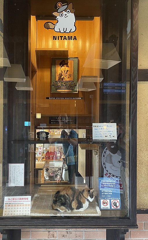 　著名的小玉站長(TAMA)已在2015年回去喵星球了，現駐守的是二代玉(NITAMA)，來到正在小眠。<br /><br />　以前小玉好似是坐在通道中間迎客並與客人合影，現在櫥窗裡，也難怪，這麼多遊客怎承受得了。<br /><br />　第二代的小玉（NITAMA）是在2012年時，就被任命為「貴志站長代理兼伊太祈曾站長」。在取名的時候，因為同為三毛貓，「像」的日文又音同為「二」，所以就成了「長的像小玉的第二代貓站長」，有雙層意思在裡面。而在小玉離開的50天後，二代玉繼承了小玉的名字成為「小玉二世站長」，原本的二代玉則成了暱稱。在2019年初獲得「經理站長」的頭銜。