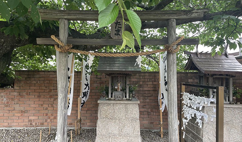 　車站內還有小玉神社。<br /><br />　2015年6月22日，小玉因急性心臟衰竭去世，終年16歲，以人類而言約等於80歲。同月28日，鐵路公司以神道教的傳統儀式將她厚葬，葬禮現場逾三千多名市民前來送別致哀，並獻上鮮花及貓罐頭。<br /><br />　小玉的頭銜除了「站長」以外，還有「超級站長」、「和歌山電鐵社長代理」、「和歌山縣勳功爵」、「和歌山縣招攬觀光大明神」、「名譽永遠站長」。