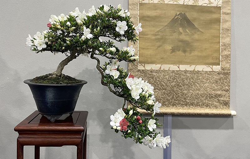 　盆栽館。