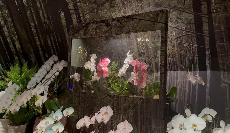 　離開弧形牆面，還有「蘭花小徑」，運用奈米噴染技術，爲台灣聞名世界的蝴蝶蘭妝點顏色，搭配MicroLED透明顯示器，讓虛擬的黑尾鳳蝶與珠光鳳蝶在花卉中翩翩起舞，虛實交錯有如夢境。