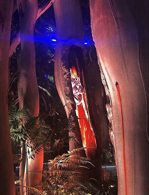 　澳洲館的主題是「太陽大地」，展館戶外可見色彩繽紛的無尾熊、袋鼠、鴯鶓等代表性動物藝術品。
