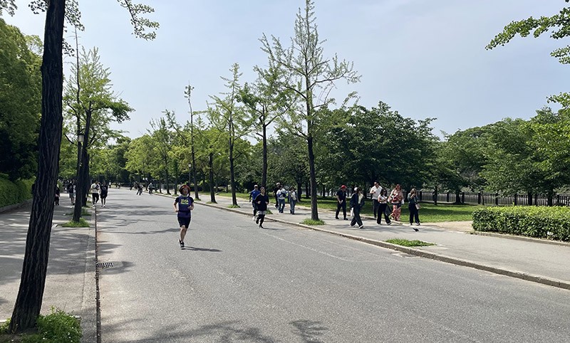 　大阪城現今為大阪城公園，除了是城市綠肺外，也是大阪賞梅賞櫻賞楓勝地。