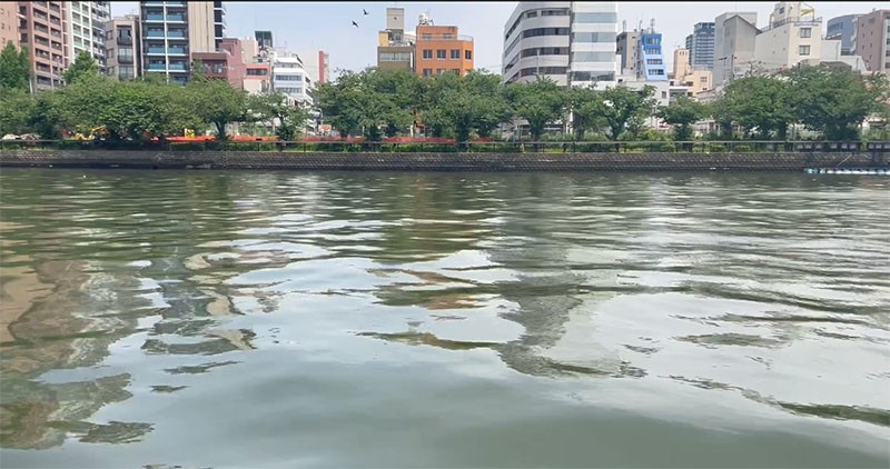 　「大川」是大阪非常有名的賞櫻景點，河岸長達 4.2 公里，每到櫻花盛開之際，賞櫻的遊客絡繹不絕，櫻花季這船票要很早訂才有機會了。