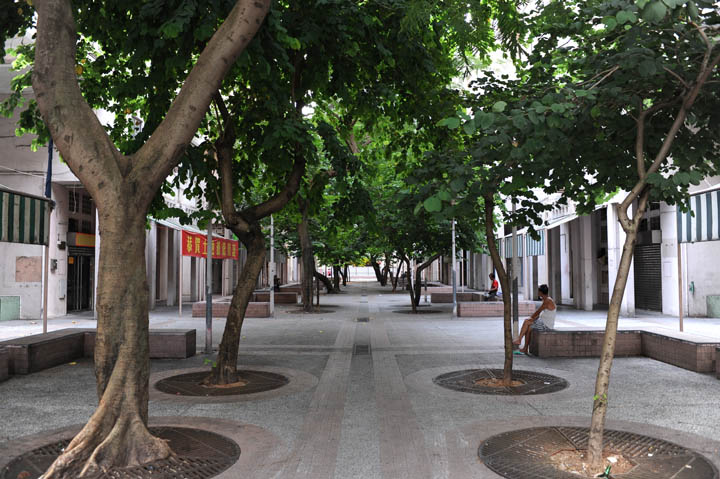 圖檔