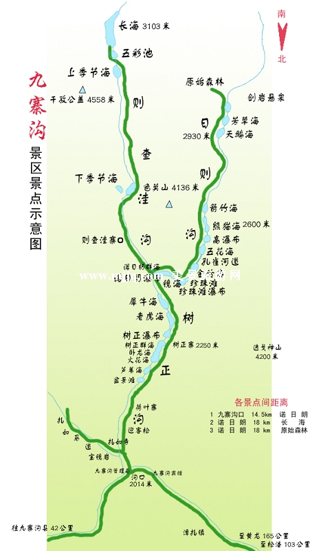 九寨溝分三條溝：日則溝、樹正溝、則查窪溝3條主溝。景觀分佈在樹正、諾日朗、劍岩、長海、紮如、天海六大景區。