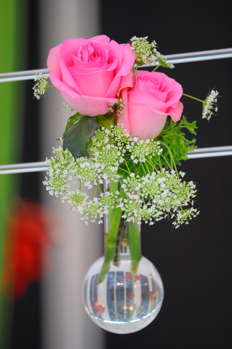 D70_5776a.jpg