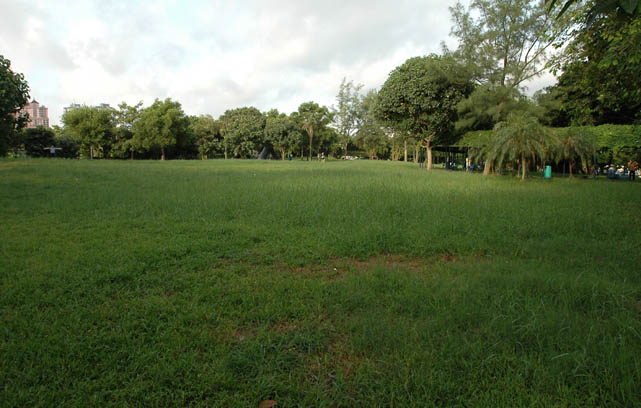 　沒有綠油油的草地哪算是公園。